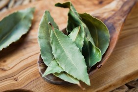 Dry Bay Leaves - Laurel Tree leaves, aromatic herb and Indian spices on the wooden spoon, rustic background, macro.