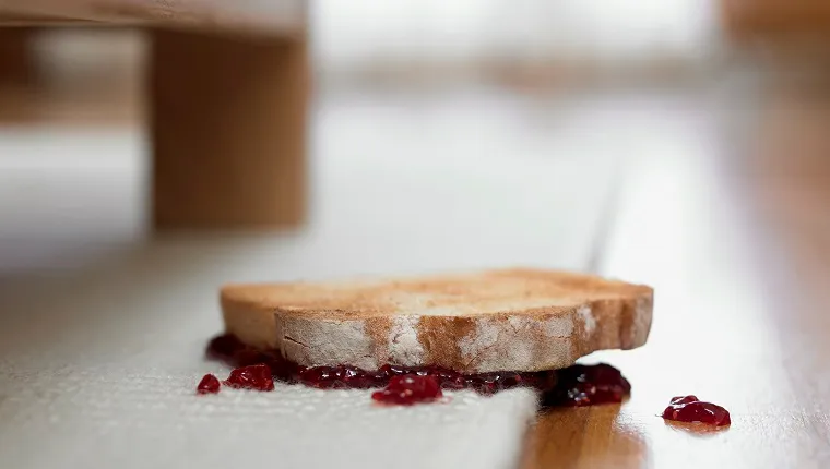 Toast and jam upside-down on carpet