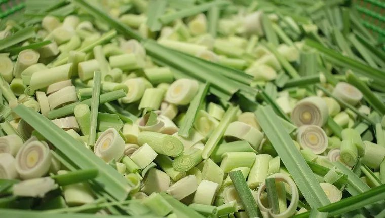 Full Frame Shot Of Chopped Lemon Grass