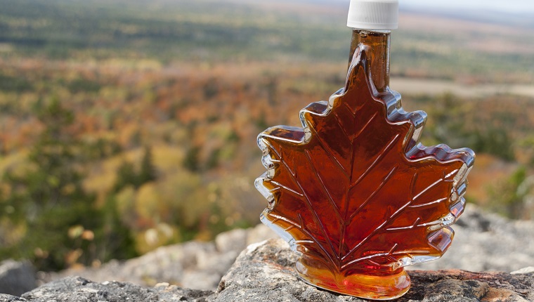 A bottle of maple syrup in a maple-leaf shaped bottle with New England fall foliage in background.