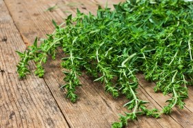bunch of oregano on a wooden background
