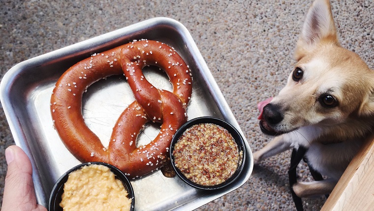 Are Pretzels Safe For Dogs