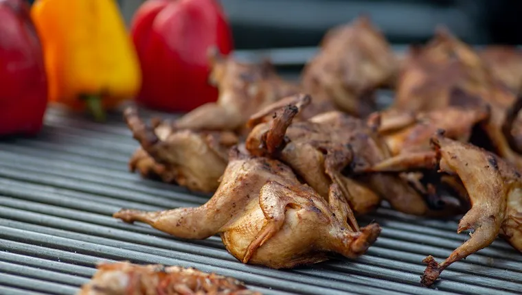 Lots of grilled quail and barbecue chickens. Street food