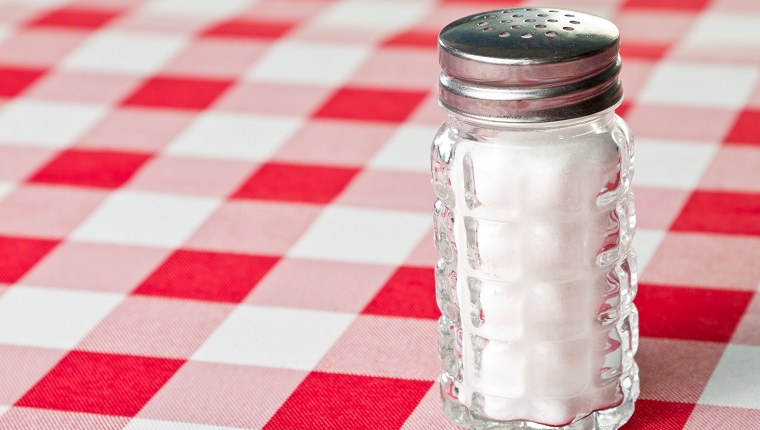 Salt Shaker on the right side of a Red Checkered Tablecloth leaving ample copy space.