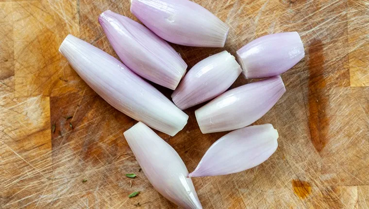 A close-up aerial view of Peeled banana shallots on a chopping board. Banana shallots (echalion) are the largest variety and are named for their size. They are a cross between an onion and a shallot.
