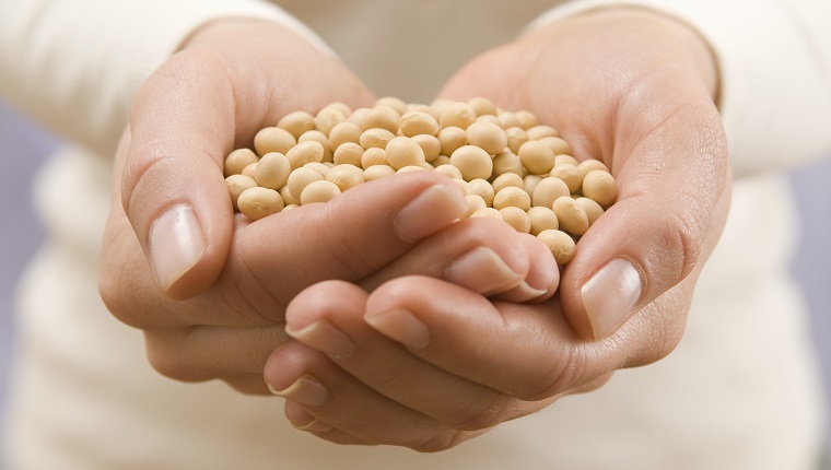 Woman holding soy beans, close-up