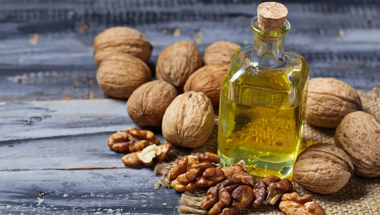 Walnut oil in bottle and nuts. Selective focus