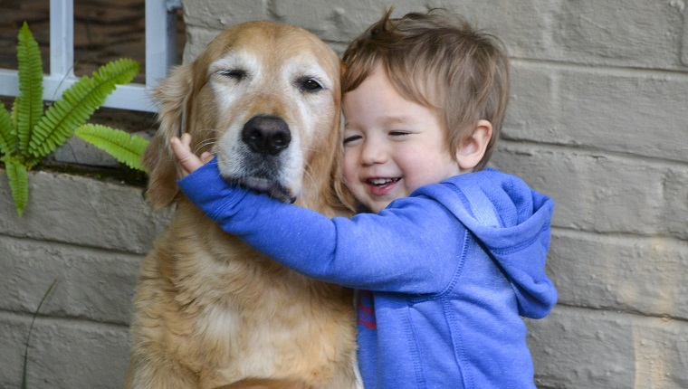 Living With Dogs As A Toddler May Protect Against Crohn's Disease As An ...