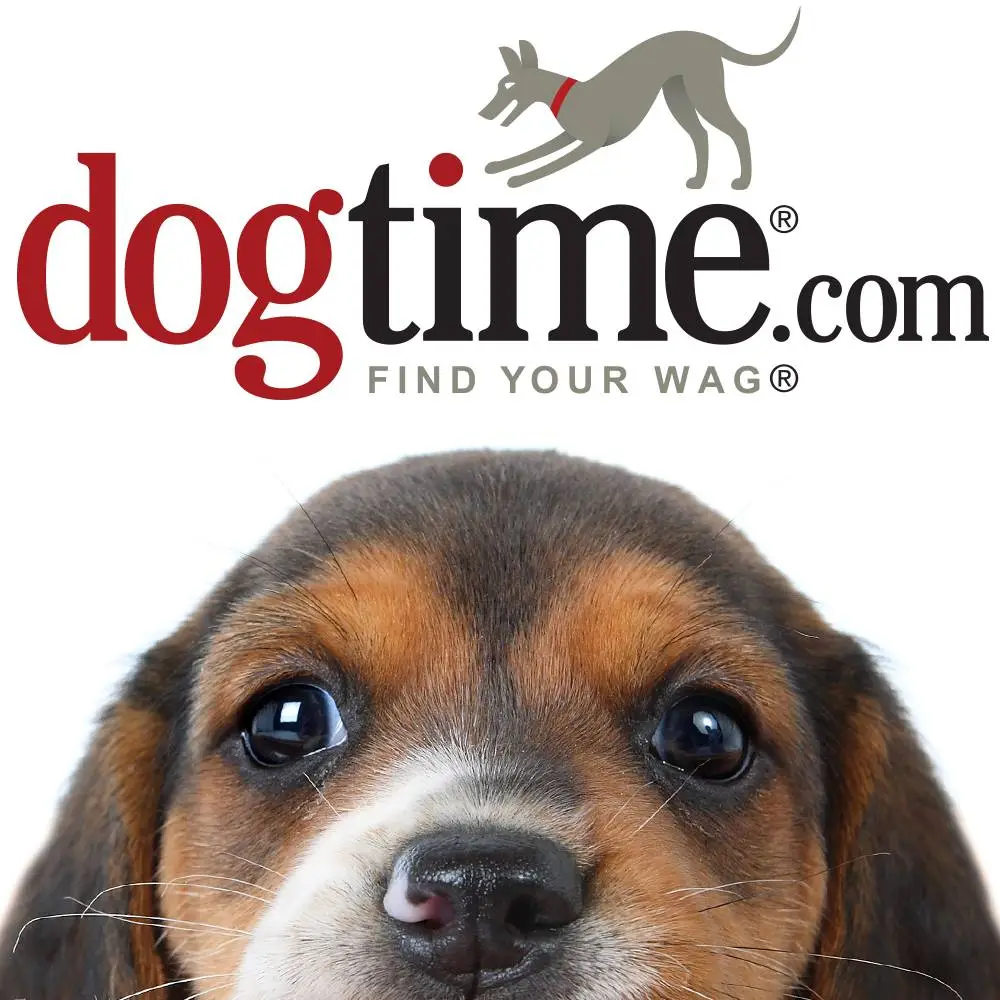 DogTime Logo
