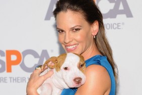 NEW YORK, NY - APRIL 09: Actress Hilary Swank attends the ASPCA'S 18th Annual Bergh Ball honoring Edie Falco and Hilary Swank at The Plaza Hotel on April 9, 2015 in New York City.