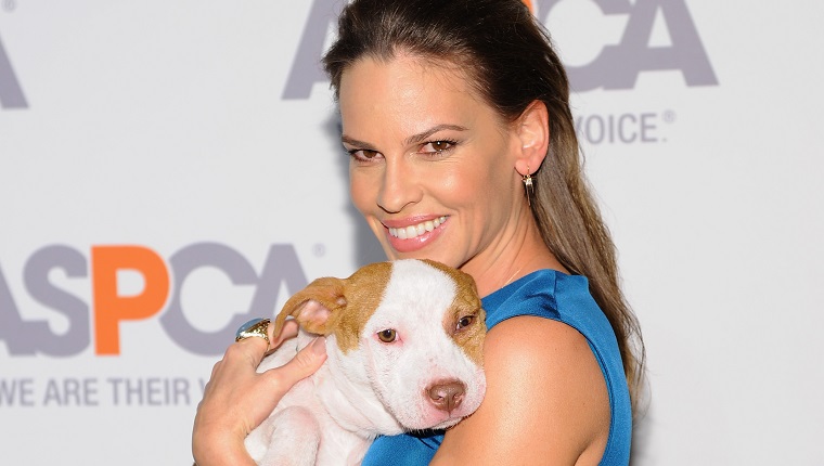 NEW YORK, NY - APRIL 09: Actress Hilary Swank attends the ASPCA'S 18th Annual Bergh Ball honoring Edie Falco and Hilary Swank at The Plaza Hotel on April 9, 2015 in New York City.