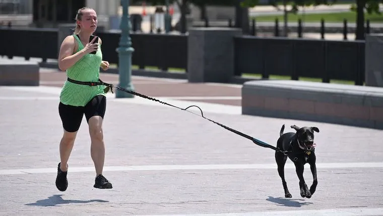 Study Shows Fit Dog Parents Are More Likely to Have Fit Dogs