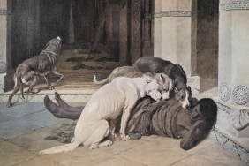 dog mythology