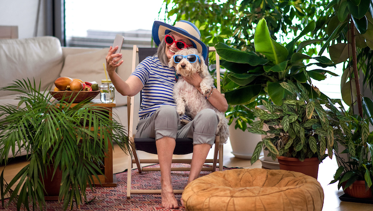 Going On Vacation? Let Your Dog De-Stress With You  