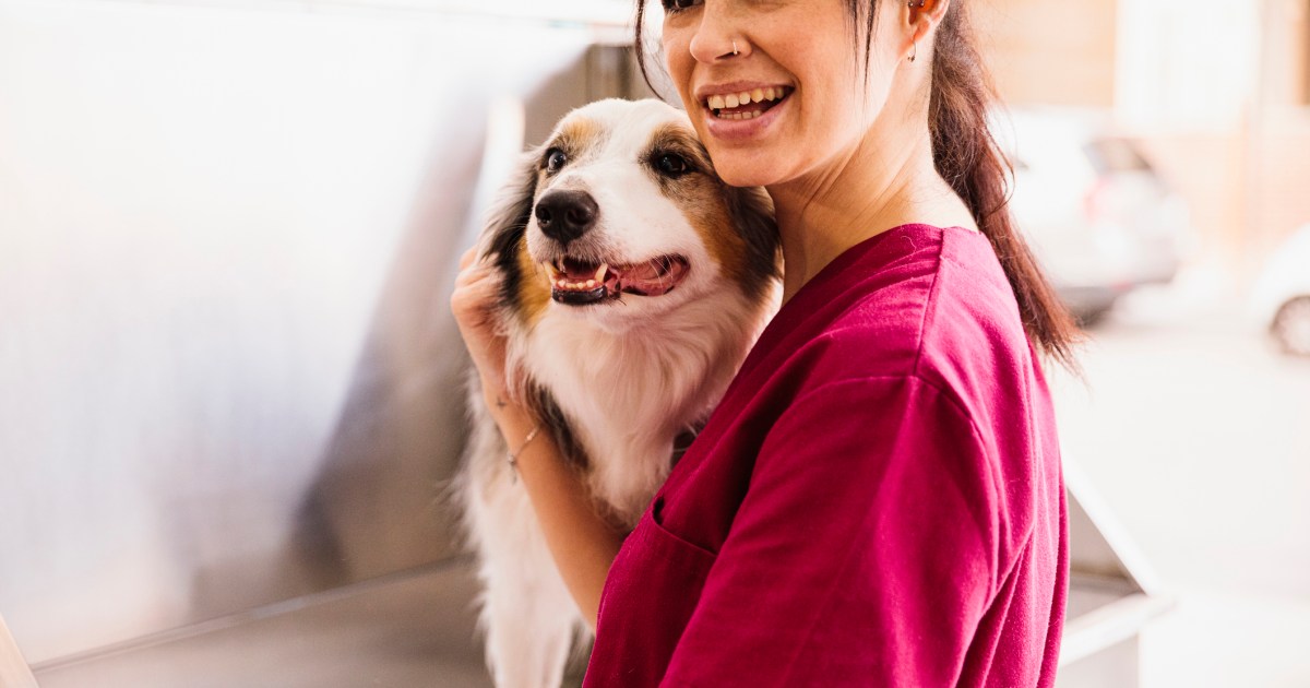 How to Pick the Perfect Dog Groomer for Your Pet