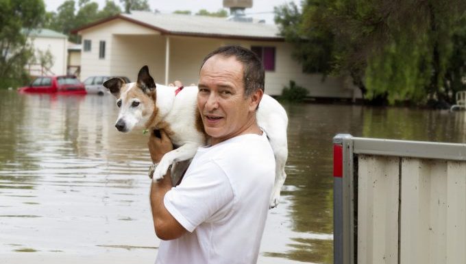 save your dog natural disaster