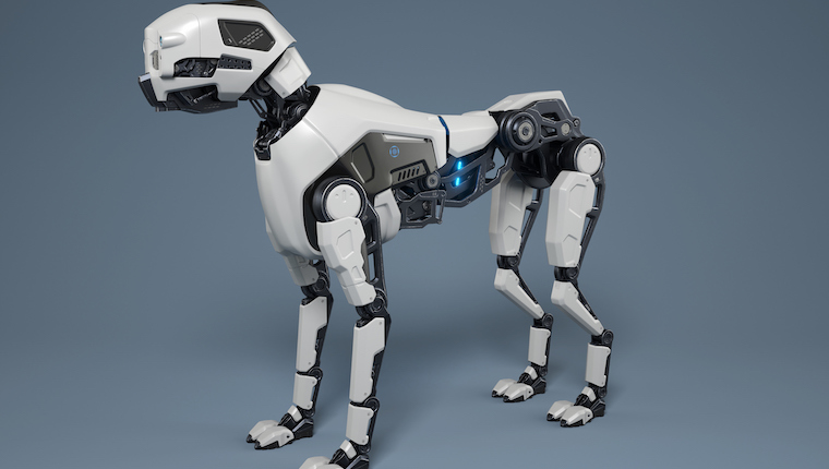 robot robot dog
