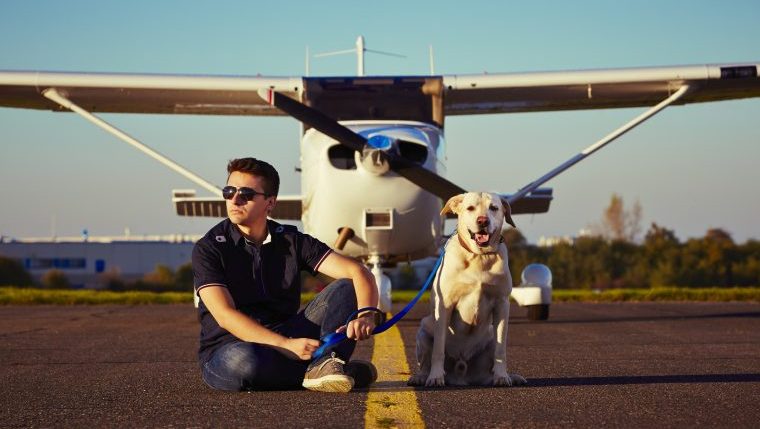 dog abandoned adopted pilot