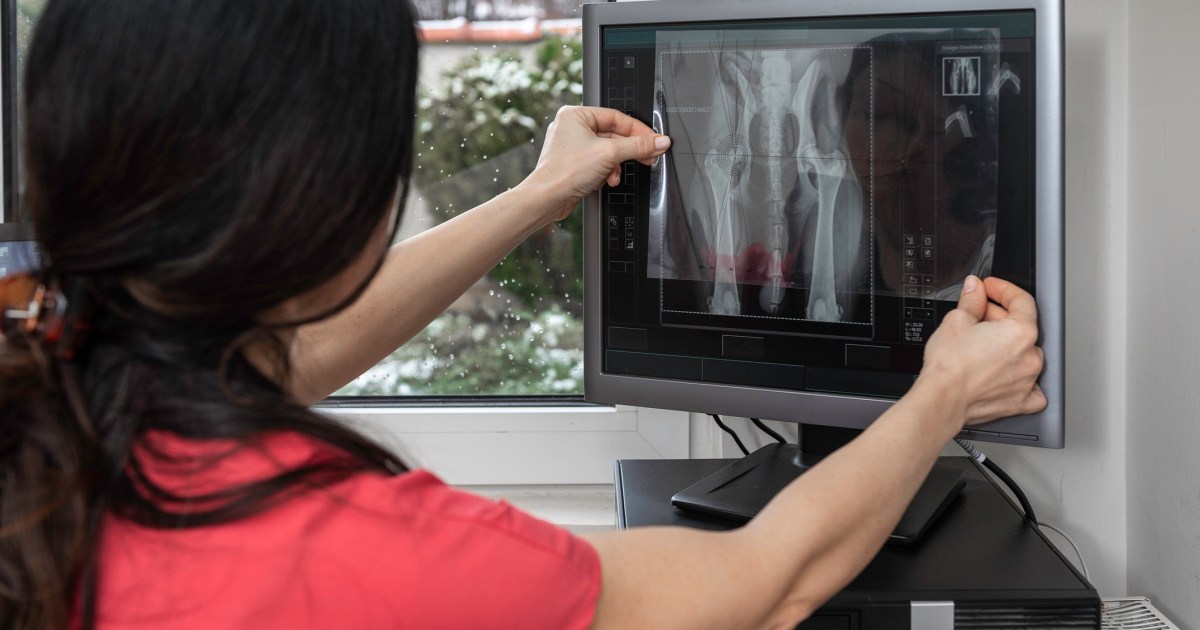 Researchers Confirm Links To Canine Hip Dysplasia