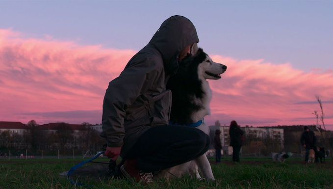 A screenshot from Netflix's 'Dogs'