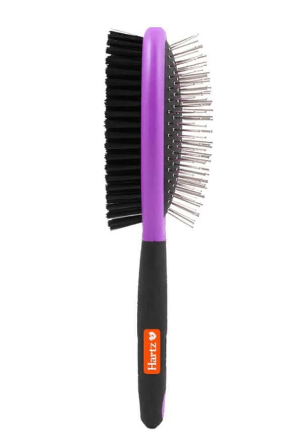 Cavalier King Charles Spaniel Needs Breed Starter Kit