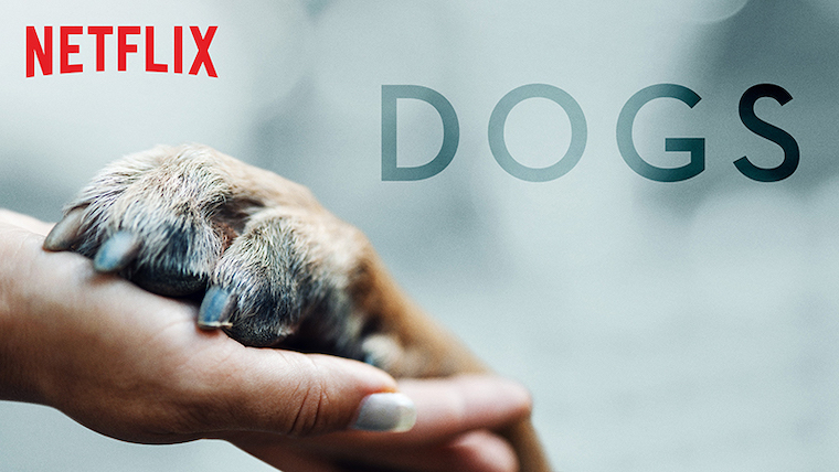 Netflix's newest series is a dog-cumentary