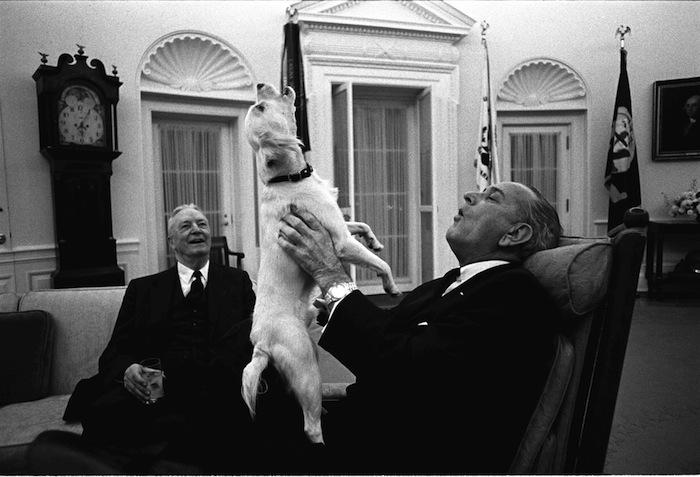 white house dogs