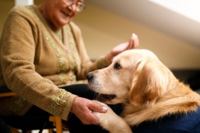 therapy dogs at nursing home with elderly woman