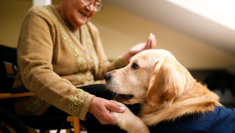 therapy dogs at nursing home with elderly woman