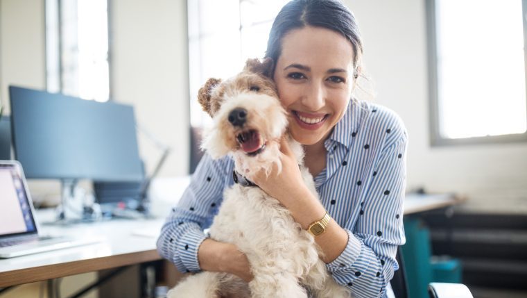 The Pros and Cons of Bringing Your Dog to Work - DogTime