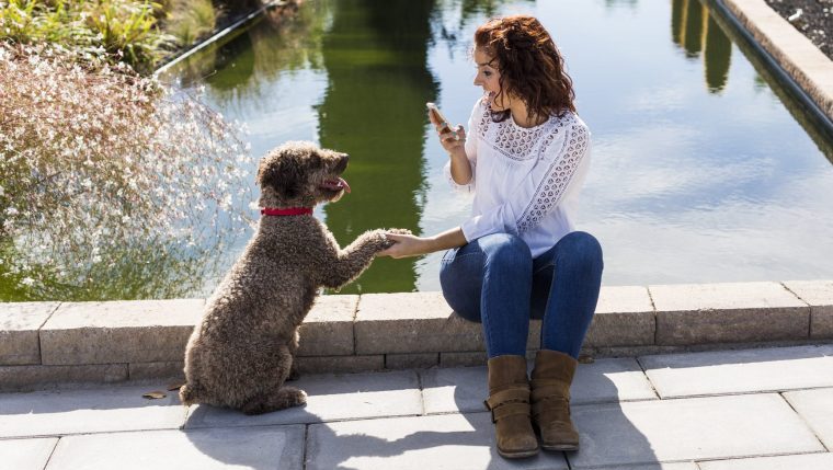 woman taking selfie with dog dog-friendly instagram spots