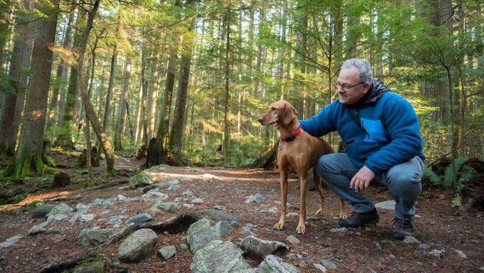 man walking dog in woods nature walks for dogs