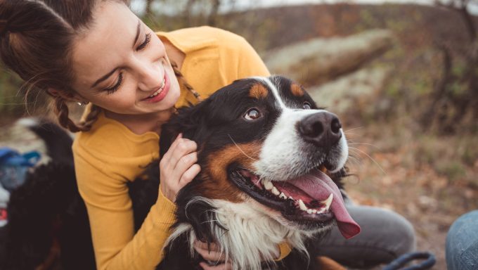 The Best Dog Breeds for Taurus Dog Lovers - DogTime