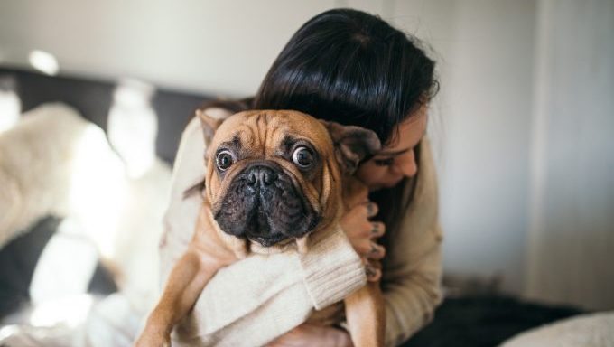 reasons dog owners feel guilty