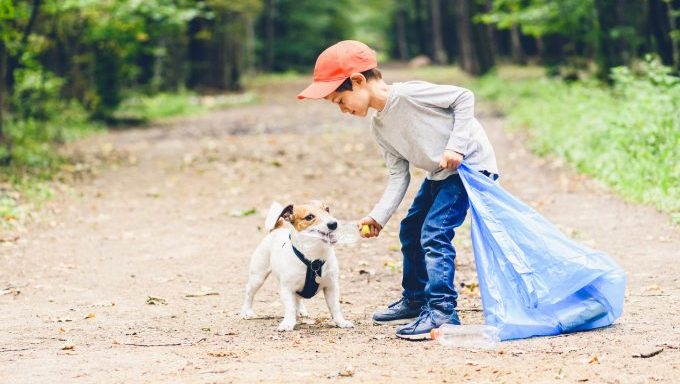 dog picking up litter how to reduce your dogs carbon footprint