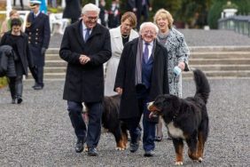 irish president's dog