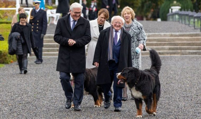 irish president's dog