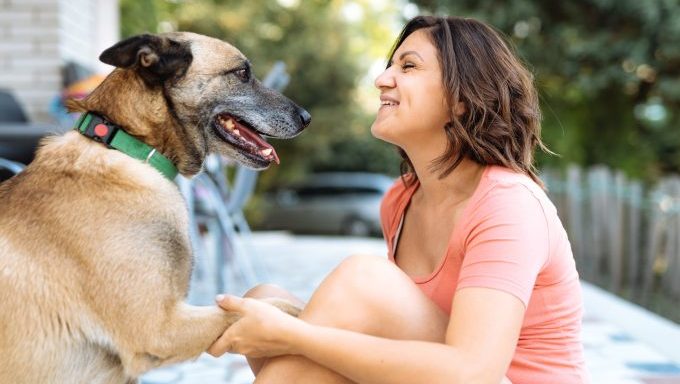 The Best Dog Breeds for Capricorn Dog Lovers - DogTime