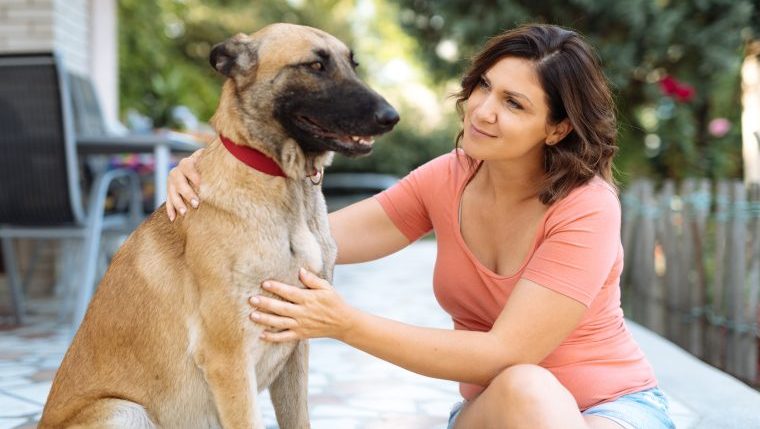 woman touching Belgian Malinois best dog breeds for capricorn