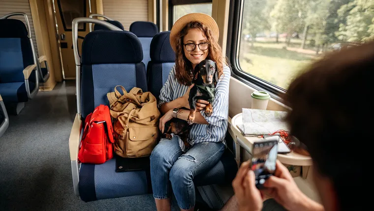 travel by train with dog