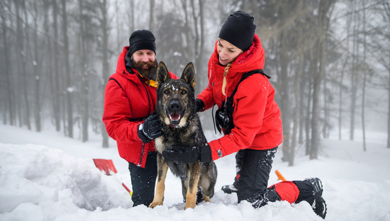 Avalanche Dog with rescue team posing for photo