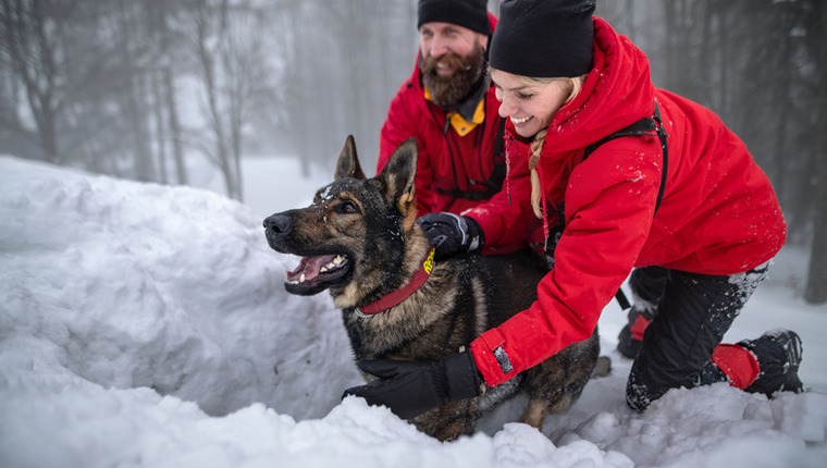 Avalanche dog on photoshoot with rescue team