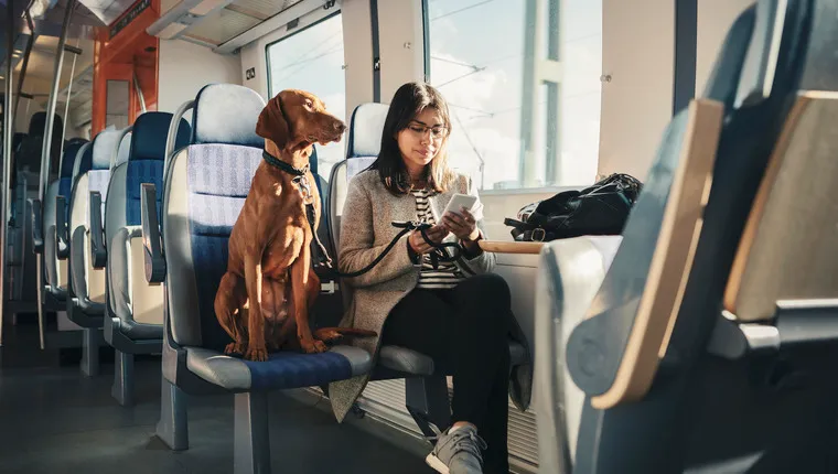 travel by train with dog