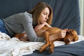 reasons dog owners feel guilty