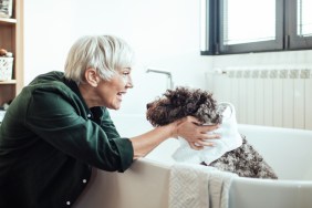 dog studies can help humans live longer
