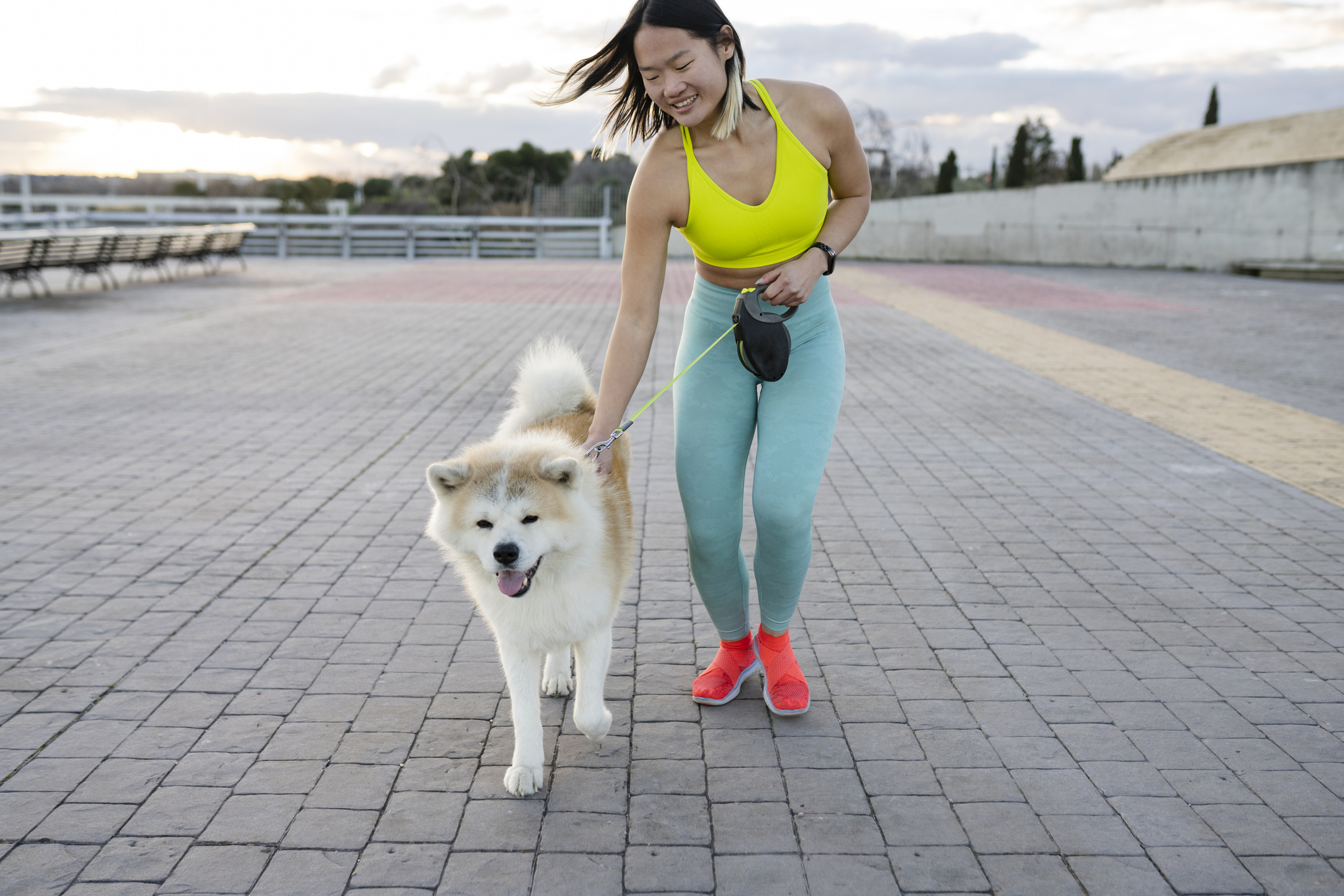 Helpful Safety Tips for Dog Walking DogTime