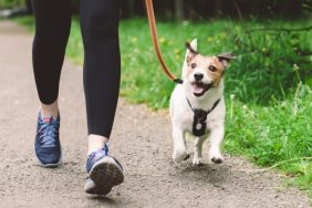 woman walking dog breed guide for people who like long walks