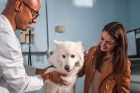 vet visit costs