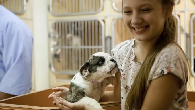 A girl holds a puppy at an adoption center.