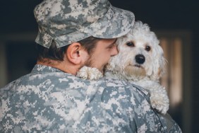 a veteran with his support dog
